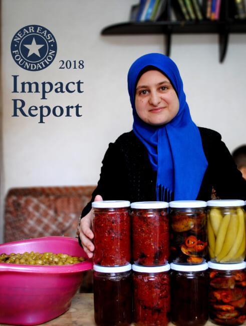 cover-2018-impact-report