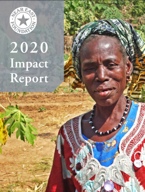 cover-2020-impact-report